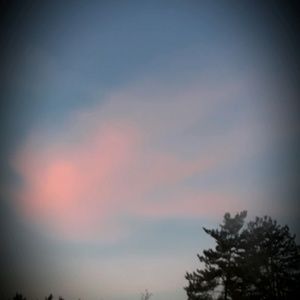 Meet your Posher, Jaslyn